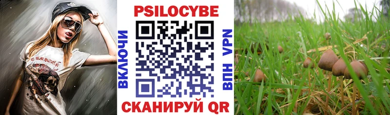 Галлюциногенные грибы GOLDEN TEACHER  Славгород 