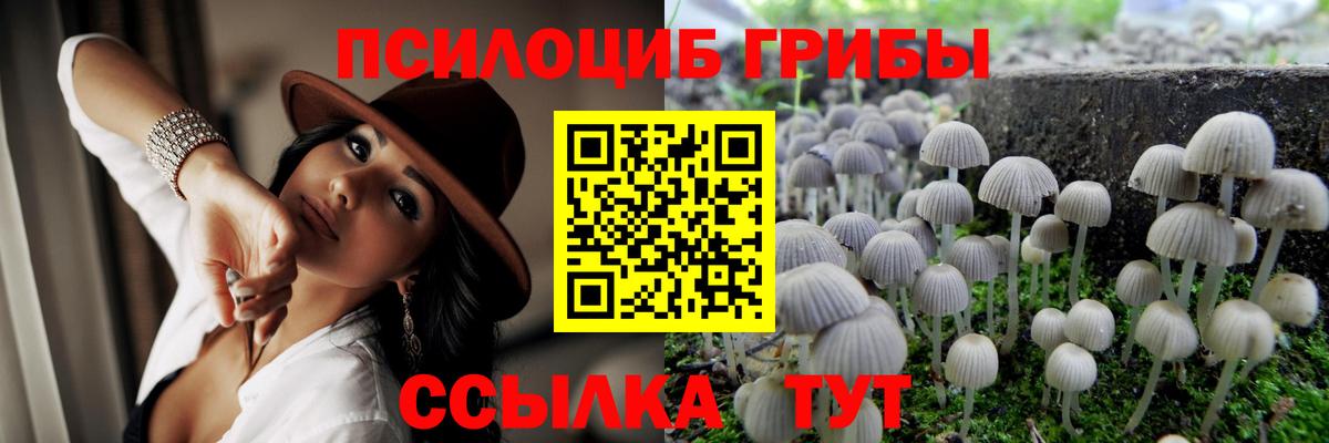 Псилоцибиновые грибы GOLDEN TEACHER Славгород